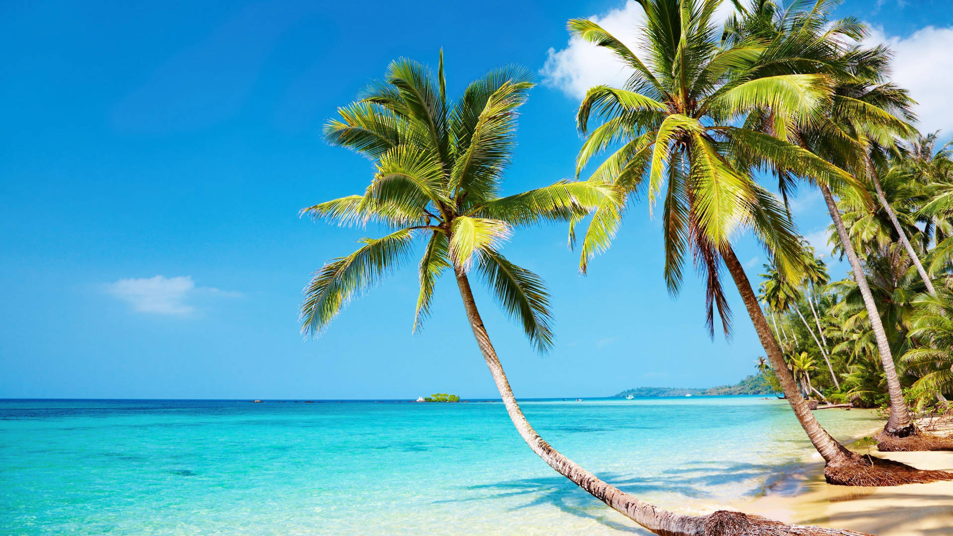 Beautiful Pine Island Beach Scene